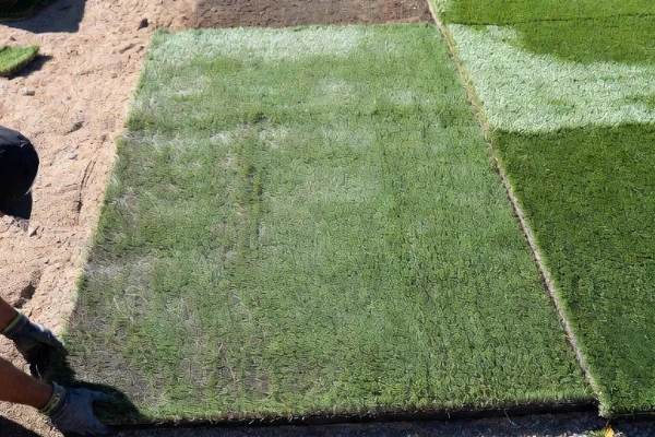 Artificial turf installation in progress