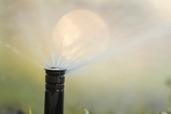 Irrigation System Installation in Phoenix AZ
